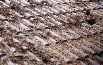 Cann roof cleaning companies