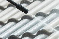 rated Cann roof cleaning companies